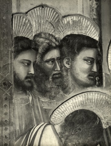 Alinari, Fratelli — Padova. Scrovegni. Giotto: Cacciata dei mercanti (partic.) — particolare